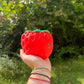 Squishy Toy - Jumbo Strawberry + Face