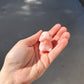 Squishy Toy - Adult Humor Penis