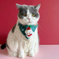 Cat Adjustable Bandana - Christmas