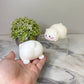 Squishy Toy - Marshmallow Cat