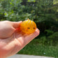 Squishy Toy - Mini Dumpling, Quick Glitter + Water Bead